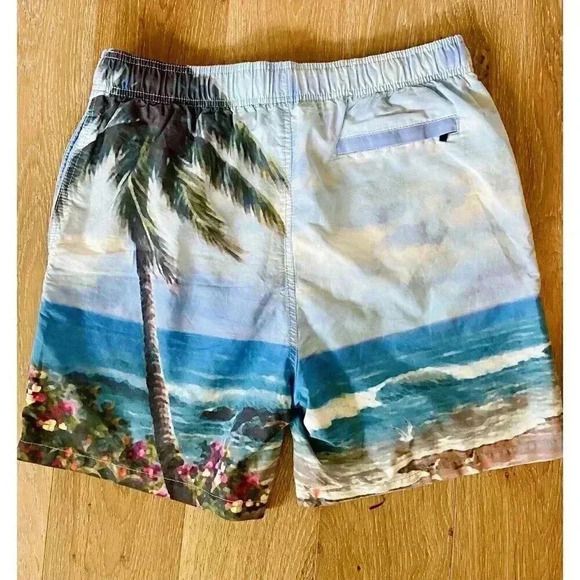 Island Haze Mens Board Shorts Blue Bathing Suit Beach Ocean XXL Youth - Picture 6 of 12